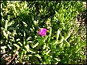 DSCN1377.JPG