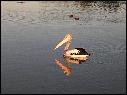 DSCN1384.JPG