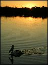 DSCN1392.JPG