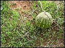 DSCN1418.JPG